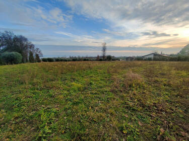 foto principale del terreno