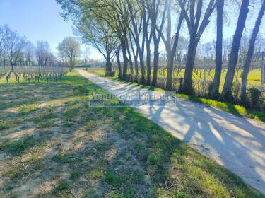 foto principale del terreno