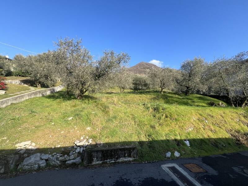 foto principale del terreno
