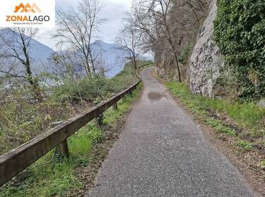 foto principale del terreno