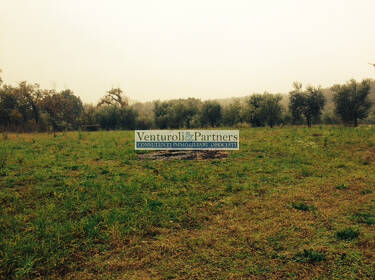 foto principale del terreno