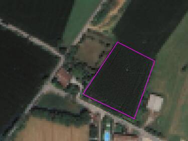 foto principale del terreno