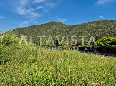 foto principale del terreno