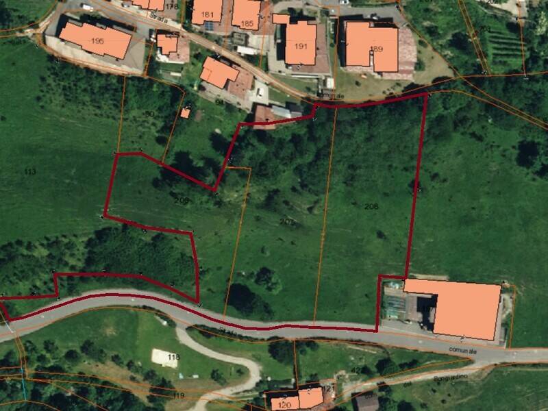 immagine annuncio 1 di 2