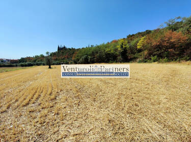 foto principale del terreno