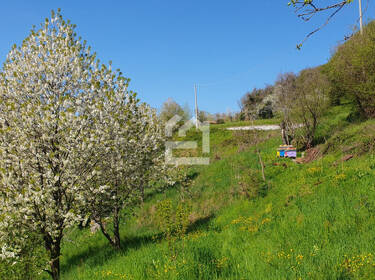 foto principale del terreno