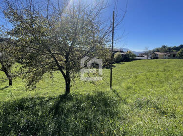 foto principale del terreno