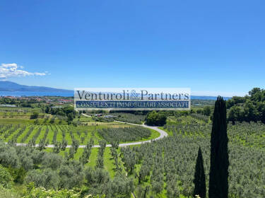 foto principale del terreno