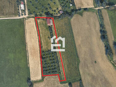 foto principale del terreno