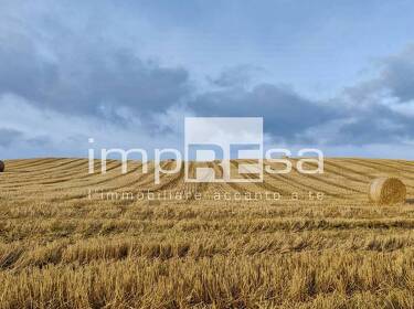 foto principale del terreno