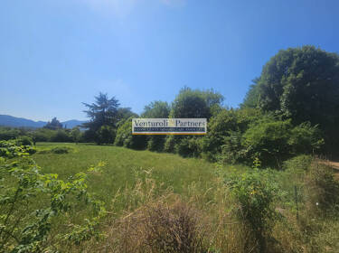 foto principale del terreno