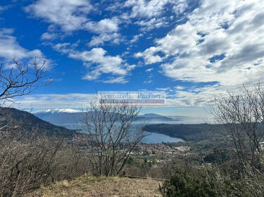 foto principale del terreno