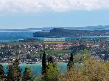 foto principale del terreno