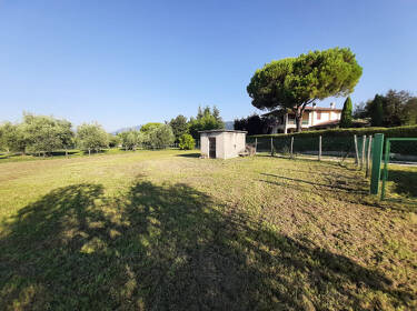 foto principale del terreno