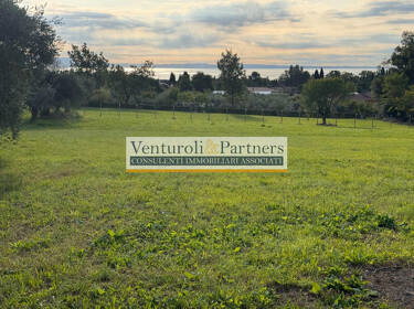 foto principale del terreno