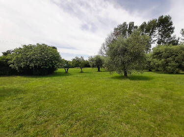foto principale del terreno