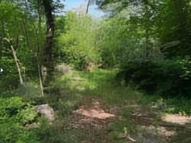 foto principale del terreno