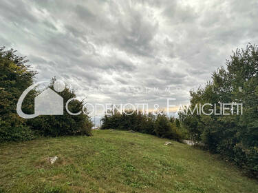 foto principale del terreno