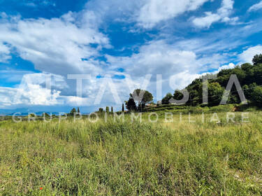 foto principale del terreno