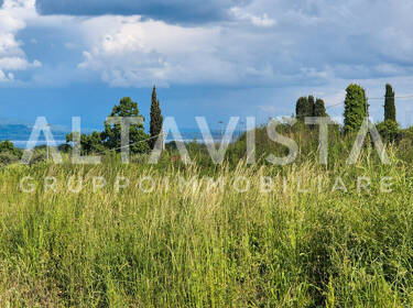 foto principale del terreno