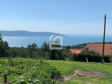 foto principale del terreno