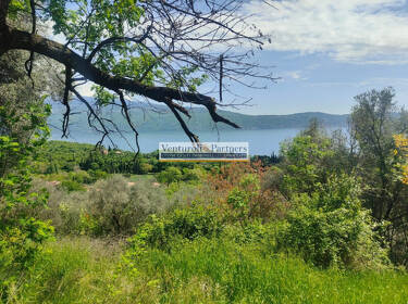 foto principale del terreno