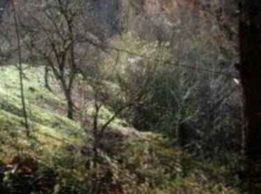 foto principale del terreno