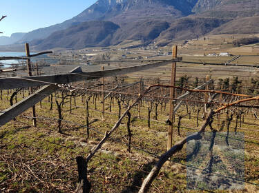 foto principale del terreno