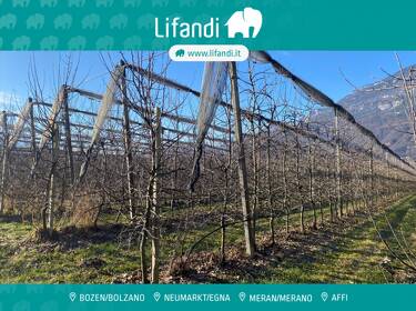 foto principale del terreno