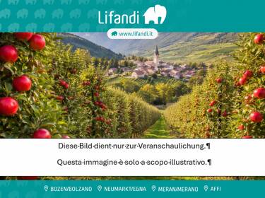 foto principale del terreno