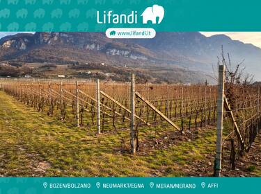 foto principale del terreno