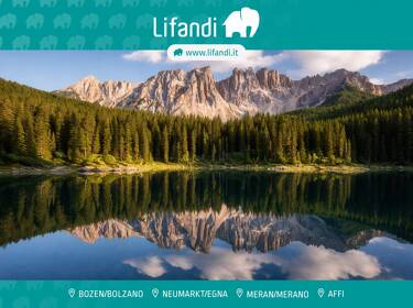 foto principale del terreno