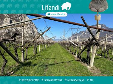 foto principale del terreno