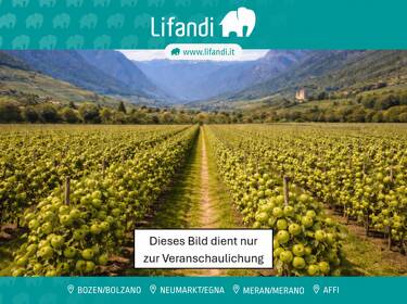 foto principale del terreno