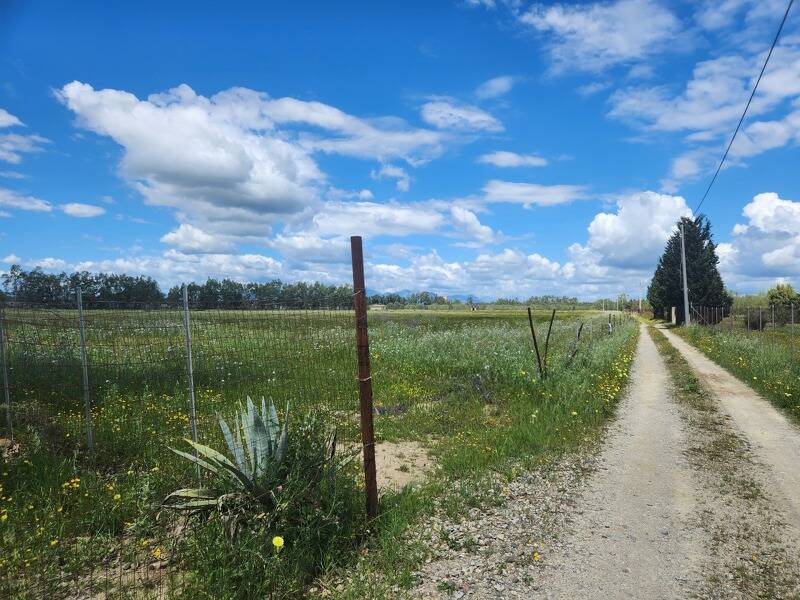 foto principale del terreno
