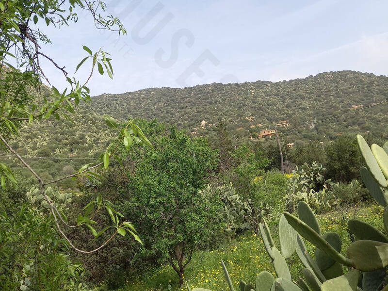 foto principale del terreno