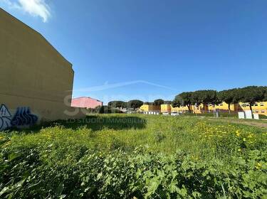 foto principale del terreno