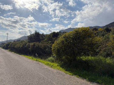 foto principale del terreno