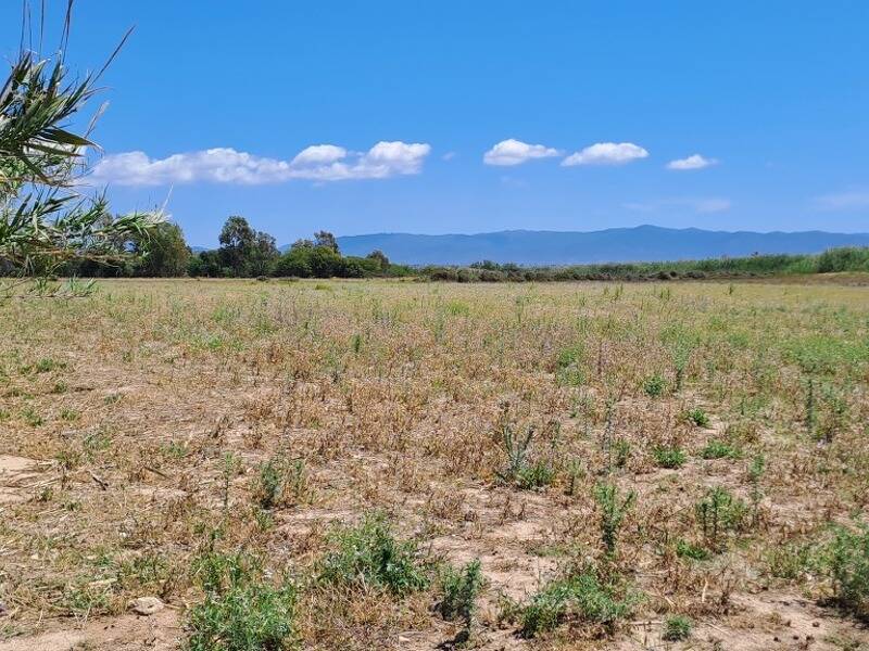 foto principale del terreno