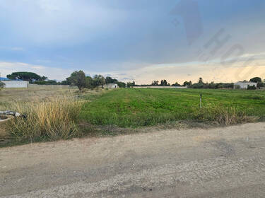 foto principale del terreno