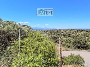 foto principale del terreno