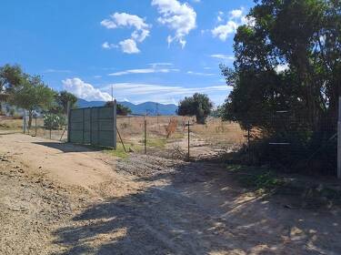 foto principale del terreno