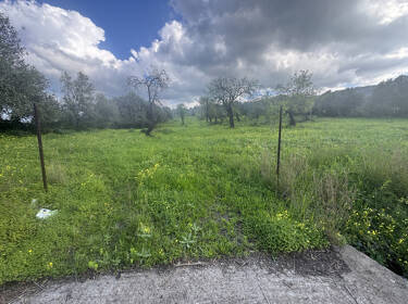 foto principale del terreno