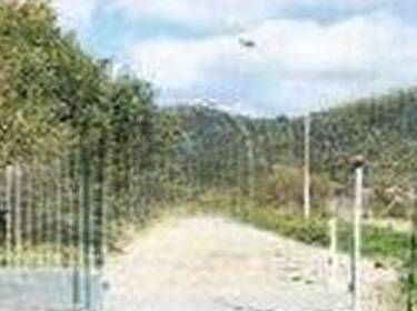 foto principale del terreno