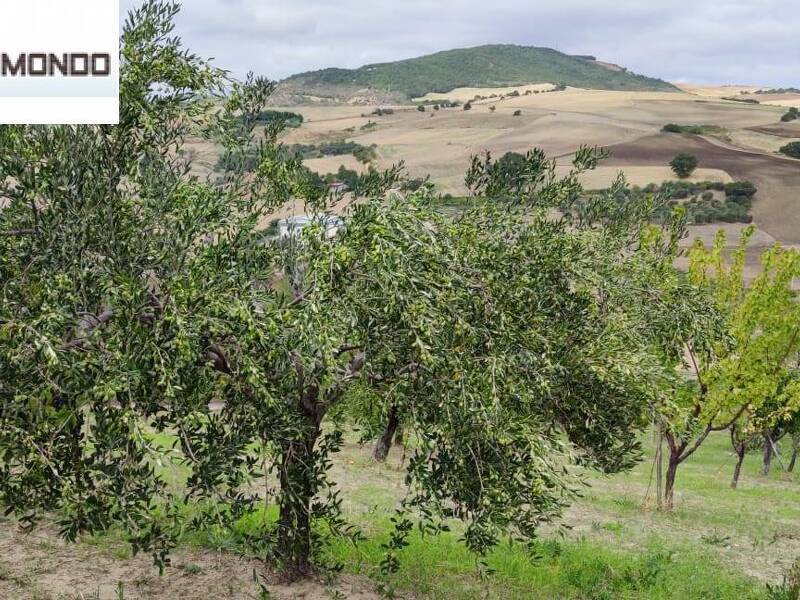 foto principale del terreno