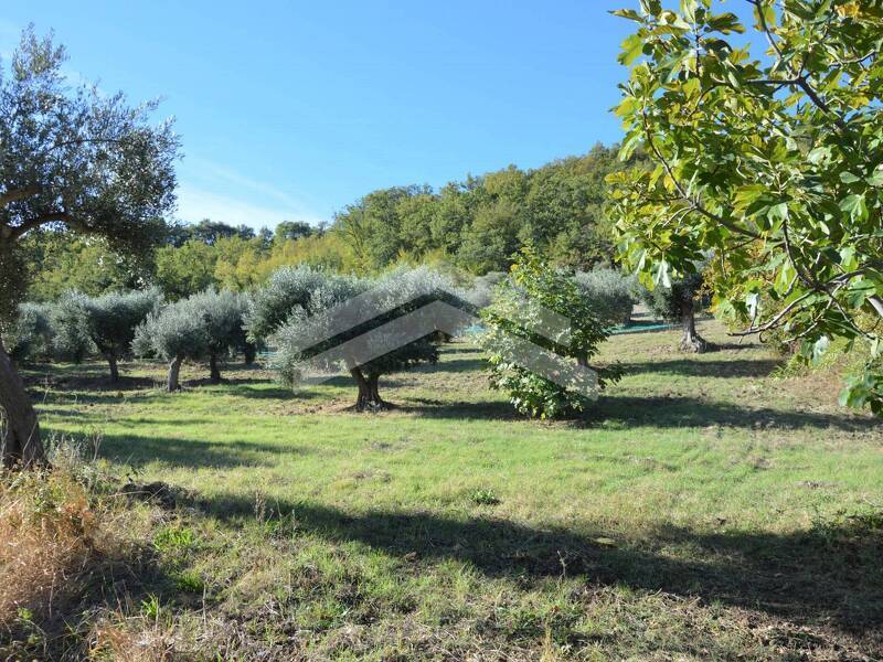 foto principale del terreno