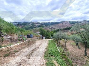 foto principale del terreno