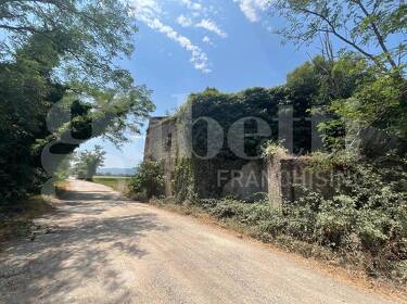foto principale del terreno