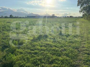 foto principale del terreno