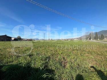 foto principale del terreno